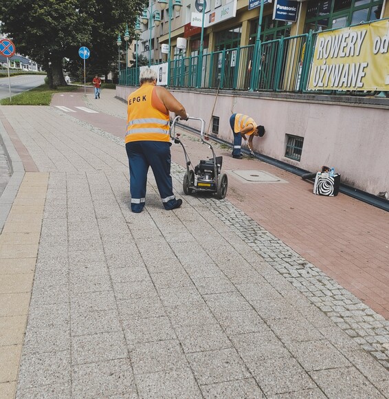 Kosiarką po betonie. 5.07. Kosiarką w chwasty miedzy plytami chodnikowymi :)