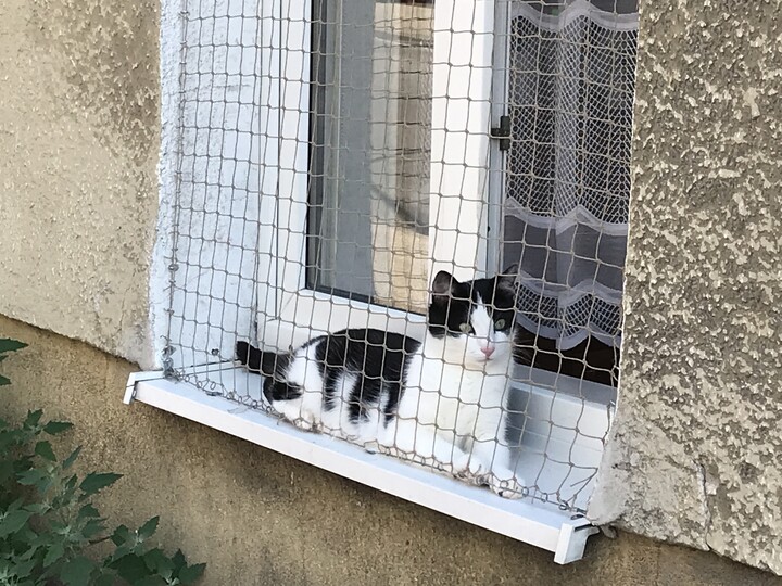 W upał chciałoby się na spacer. Parter w śródmieściu Elbląga