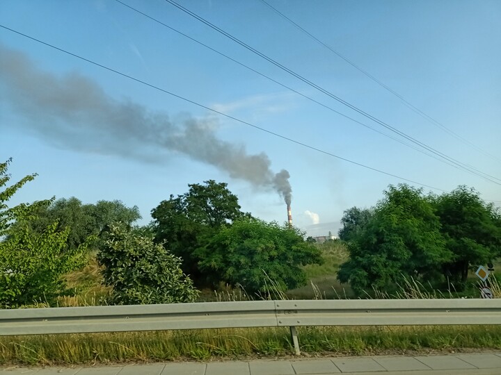 Eko Elbląg. Poranek w Elblągu 24.07