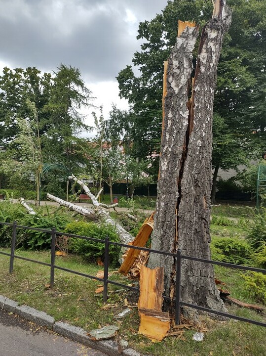 W Parku Kajki. Czy to piorun trzasnął?