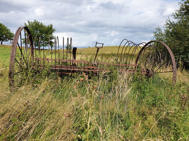 Zgrabiarka. Mechanizacji rolnictwa dawny czar (Sierpień 2021)