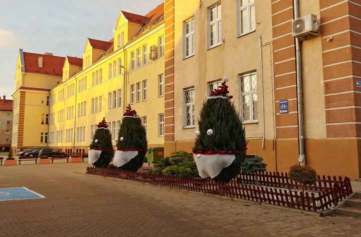 Choinki na ul. Saperów.  (Grudzień 2021)