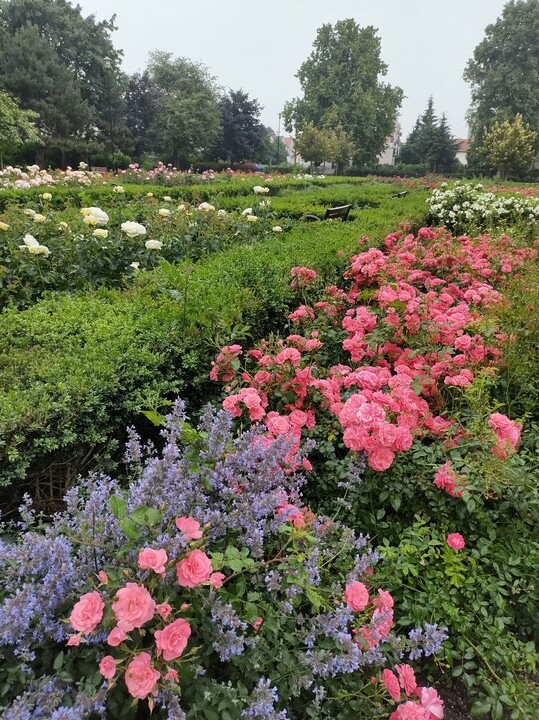 Park Kajki, duma Elbląga