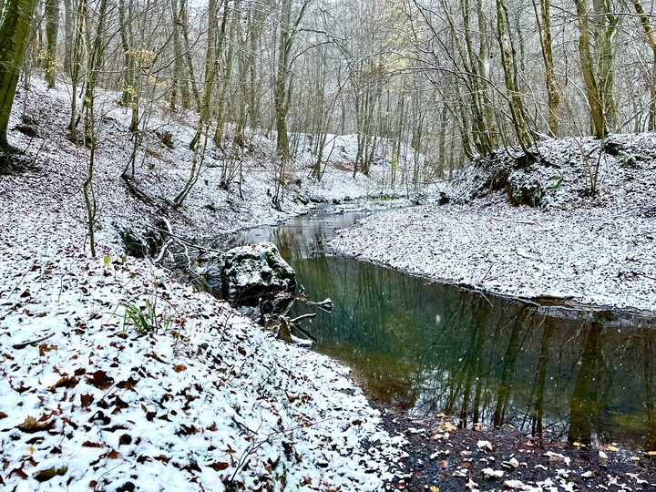 Pierwszy śnieg nad Kumielą