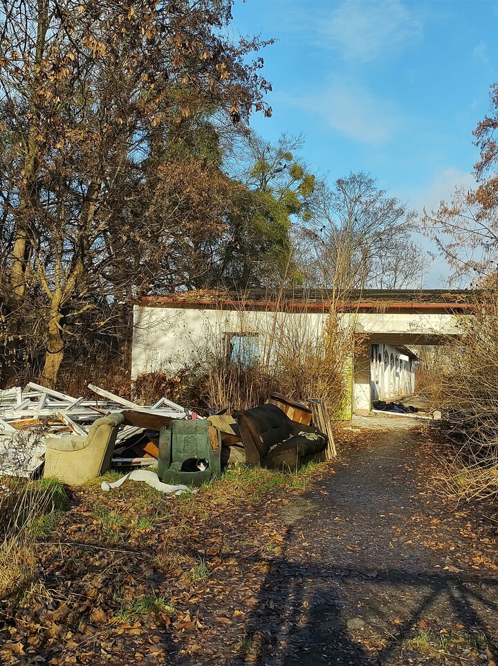 Na basenie. Piękne zadbane miasto Elbląg, zamiast być lepiej to jest coraz gorzej