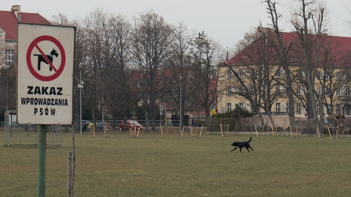 Mentalnośc na jednym obrazku