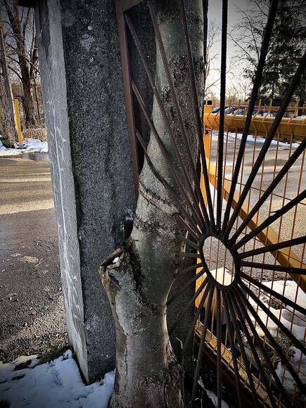 Drzewko. Bramka przy ul. Nowodworskiej (Luty 2023)