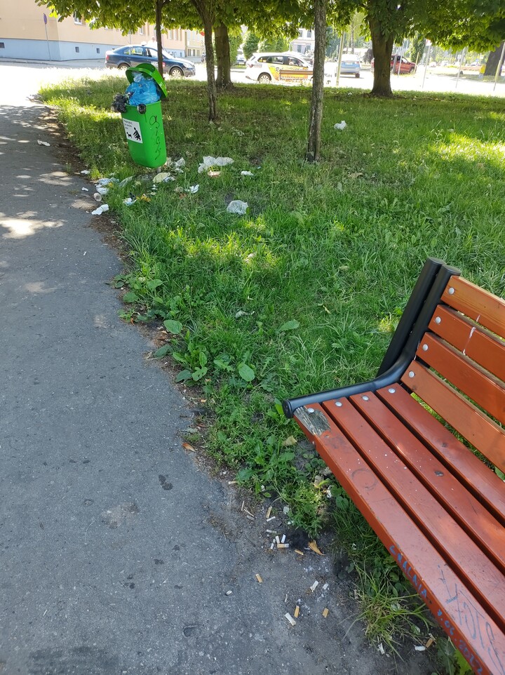 Prawdziwy obraz miasta. Chodzę szukam lawki w ten upalny niedzielny dzień i nic, park w trakcie betonowania, a lawki poniszczone broudne, pelno petow a smietniki pelne, i to nie tylko tu bo w wielu miejscach w Elblągu widzi sie smieci porozrzucane, nieladne miasto (Lipiec 2023)