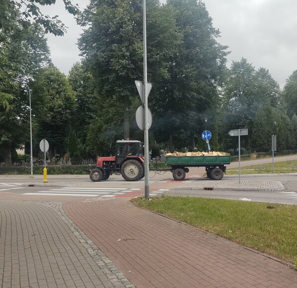 Jak co dzień wywóz drzewa z Bażantarni.... Ograbiaja naszą Bazantarnie...codziennie takie transporty widzę