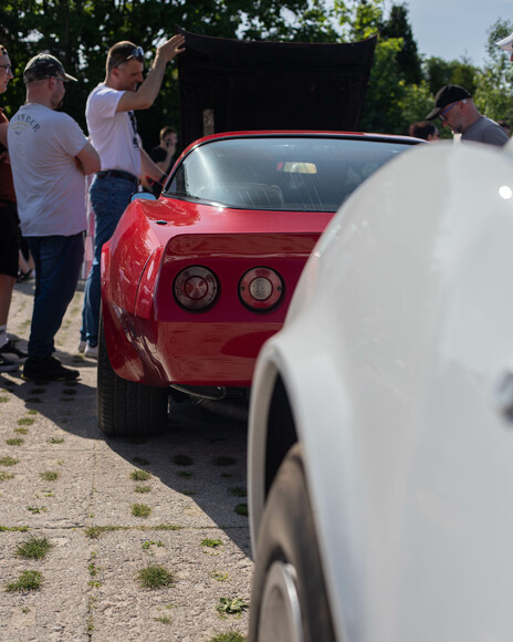 Corvette C3. 8 Spotkanie Elbląskich Klasyków (Maj 2023)