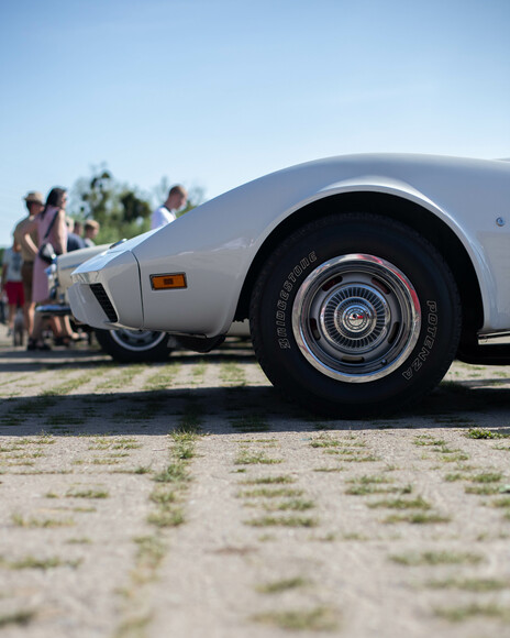 Corvette C3. 8 Spotkanie Elbląskich Klasyków