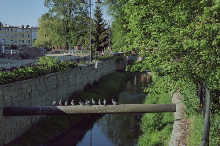 Ekipa z osiedla. Elbląg, ul. Zw. Jaszczurczego (Maj 2023)