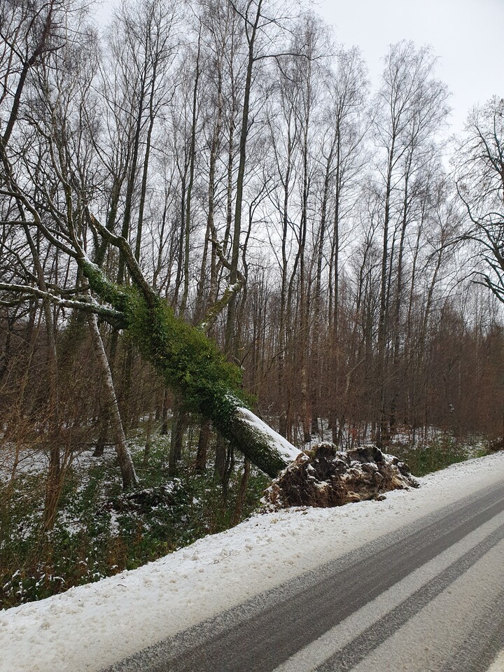 Dobrze, że nie na drogę 