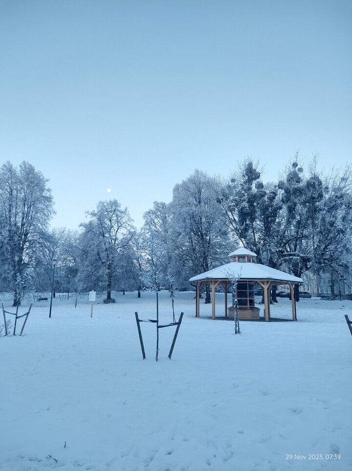 Minus 16 stopni. Przepiękny poranek