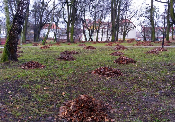 Przedwiosenne porządki