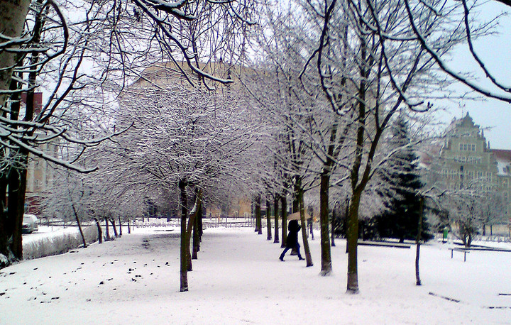 Znowu posypało.. Telefonem na porannym spacerku z psem. (Luty 2013)