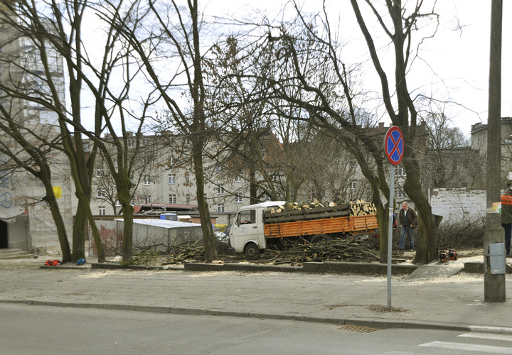 Nowa jakośc. Widoczne graby przy ul. Trybunalskiej, zostały wycięte w całości. (Grudzień 2012)