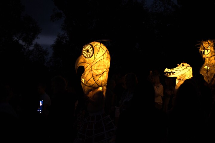 Parada lampionów