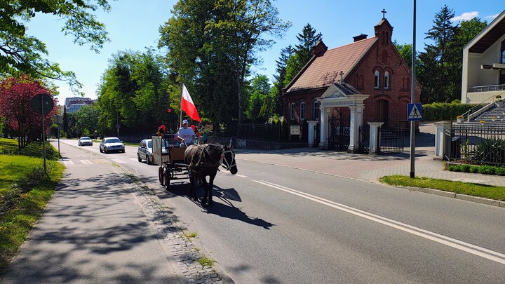 Końskie wybory