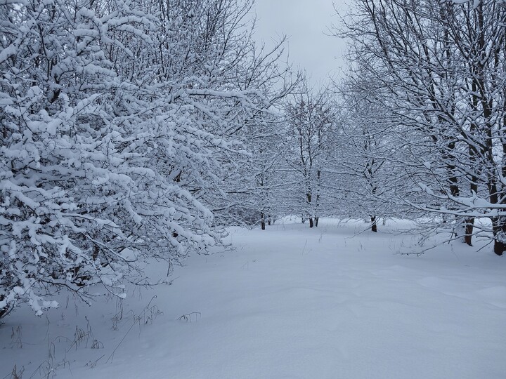 W poszukiwaniu Królowej Śniegu. Dawno nas nie odwiedzała, a jak już przyszła to stara się wynagrodzić nam swoją, tak długą nieobecność.