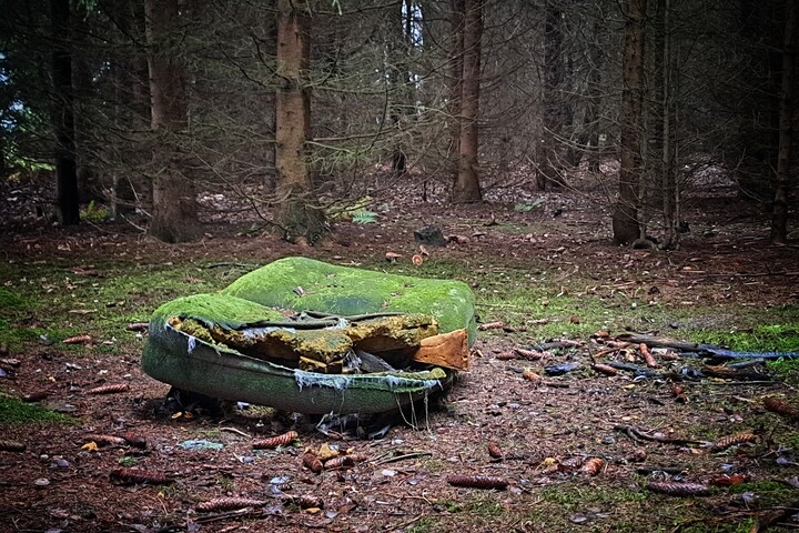 Gdy jesień poszła spać. Milejewo