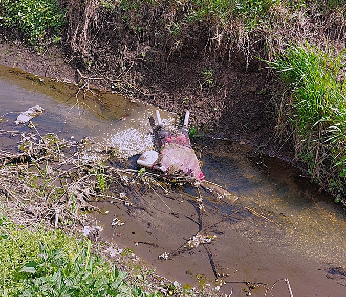 Marzanna. Tradycja w narodzie rzecz święta, choć tą ludzie od świętość próbowali wyrugować twierdząc, że to zabobon, który chcieli zastąpić zrzucaniem Judasza z wieży, jednak tradycja wygrała. Problem jednak widzę w tym, że tradycyjna Marzanna była z patyków i słomy, a nie z plastykowych rurek, a jak wszystkim wiadomo jest mało prawdopodobne żeby słoma czy patyki trafiły do żołądka wodnego zwierzęcia czego nie można powiedzieć o plastyku.