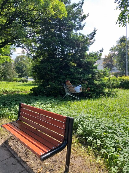 Sprawa do wyjasnienia. Porzucony wózek zakupowy z towarem przy ulicy Nowowiejskiej