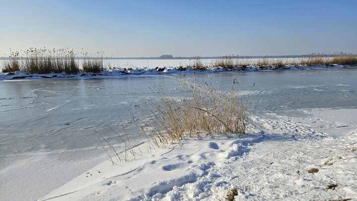 Okoniowe eldorado dla odważnych. Jez. Drużno