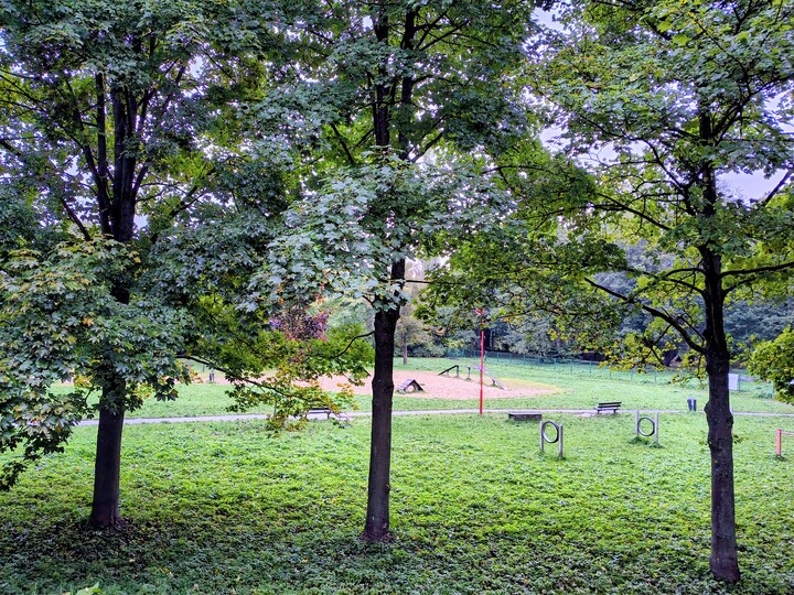 Najlepszy Psi Park W Polsce. Psi Park Pt.Doginka. Genialny.