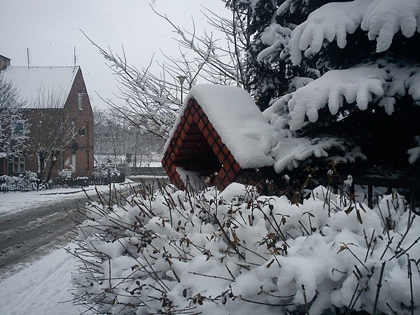 ELBLĄG-KRAKUSA.  (Kwiecień 2013)