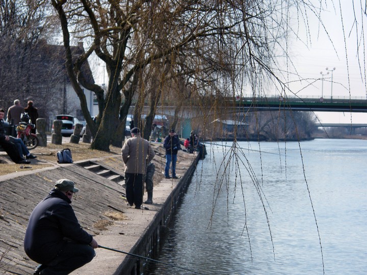 Kłusownicy  w mieście.