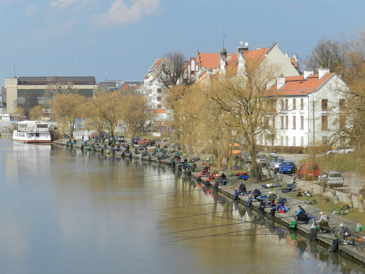 Zawody wędkarskie w Elblągu 13.04.2013 r.