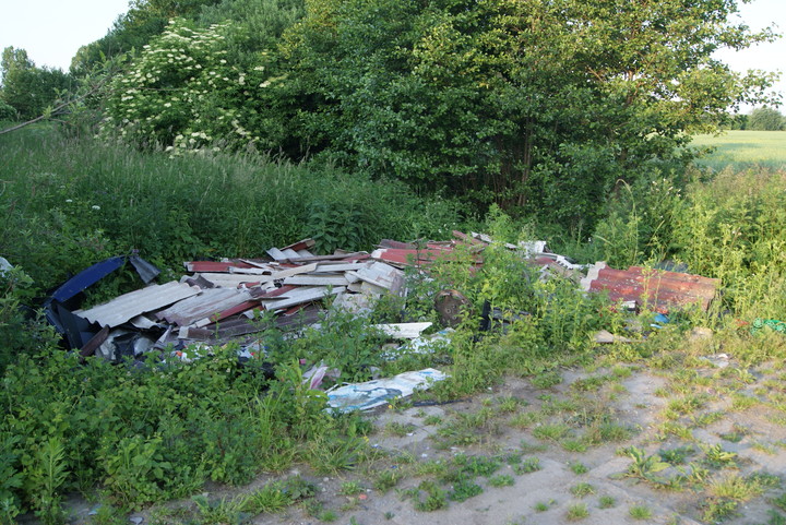 Niedzielny spacer nad Drużnem III. Niestety w rejonie rezerwatu oprócz rzadkich okazów fauny i flory można zobaczyć też efekty ludzkiej bezmyślności,głupoty,beztroski,braku wyobraźni,a najprawdopodobniej wszystkich tych cech razem.Jak by ktoś nie był pewien to jest kupa eternitu i innych śmieci.