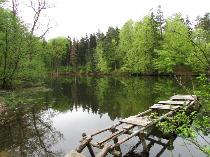 Jelenia Dolina /Smocza Dolina/ - Jezioro Martwe. Ulubione miejsce odpoczynku mieszkańców Elbląga - dziś ulega dewastacji! (Maj 2013)