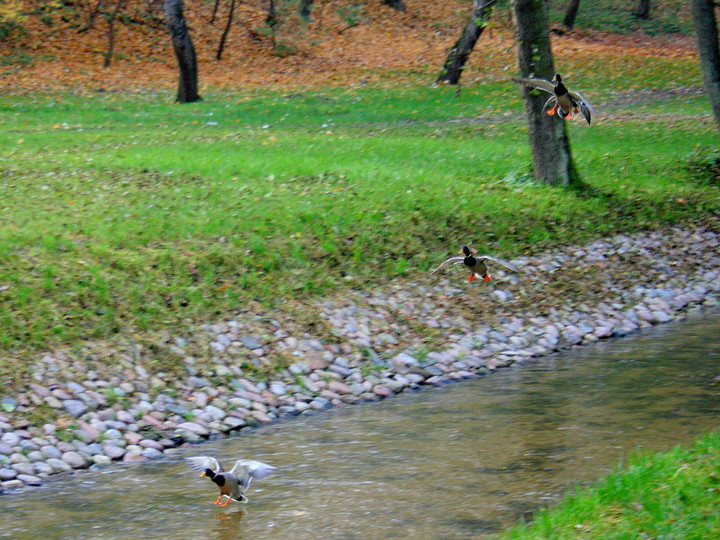 Lądowanie (dolinka)