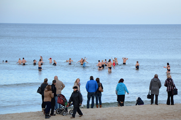 Kąpiel elbląskich morsów.. Stegna 10.11.2013 r. (Listopad 2013)