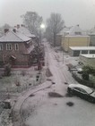 Pada śnieg w Elblągu, 23 listopad 2015 r.