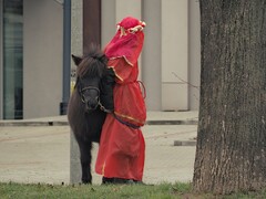 Zdjęcia tego autora