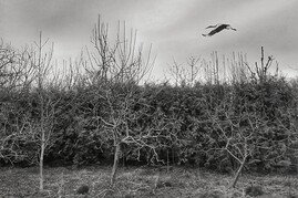 Zdjęcia tego autora