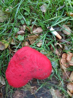 Zdjęcia tego autora