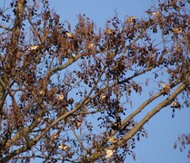 Zdjęcia tego autora