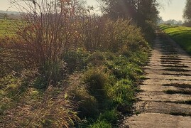 Zdjęcia tego autora