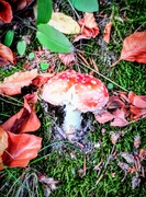 Zdjęcia tego autora