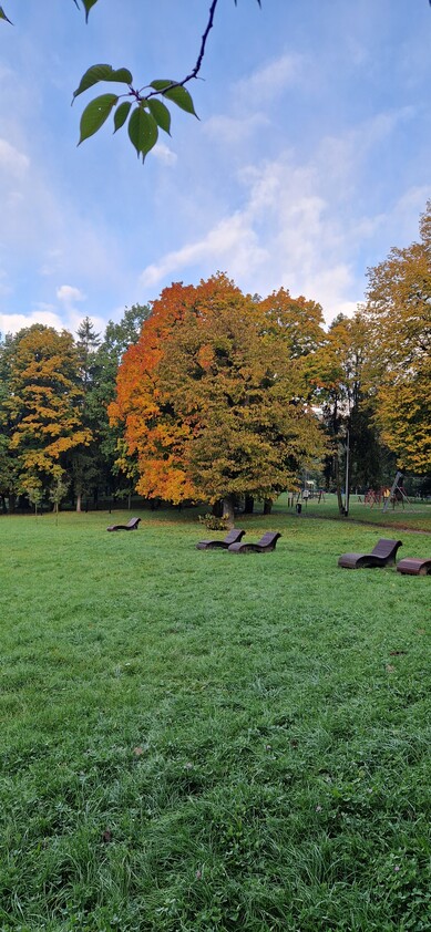 Zdjęcia tego autora