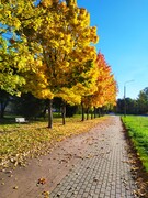 Zdjęcia tego autora