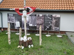 Zdjęcia tego autora