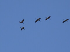 Zdjęcia tego autora