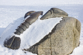 Zdjęcia tego autora