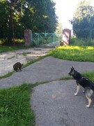 Zdjęcia tego autora