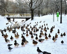 Zdjęcia tego autora